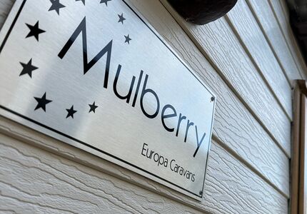 2839 Europa Mulberry ( 2015)-image-5