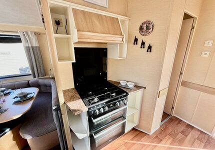 3453 Willerby Rio ( 2011)-image-2