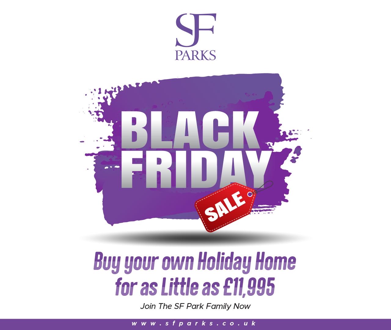 Black Friday Web Banner